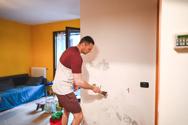 Best Office Mold Removal Services  in Morse, LA